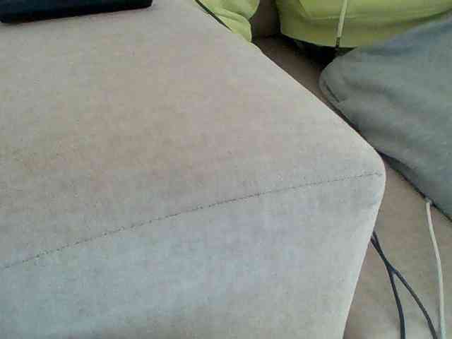 Dollie webcam