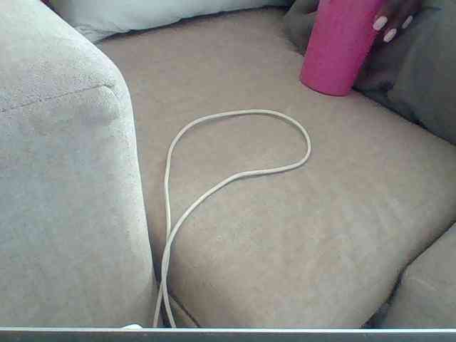 Dollie webcam
