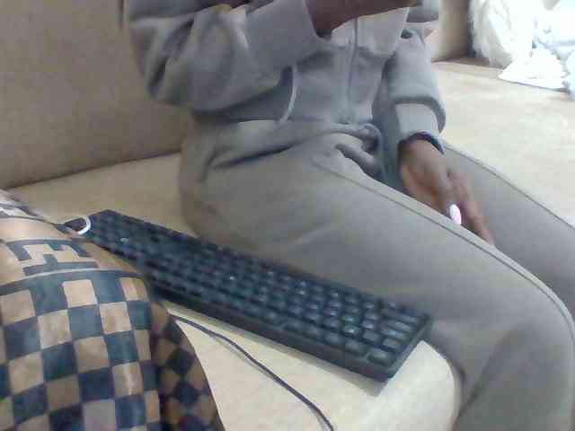 Dollie webcam