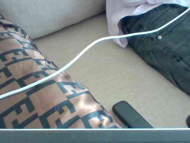 Dollie webcam