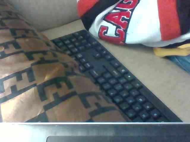 Dollie webcam