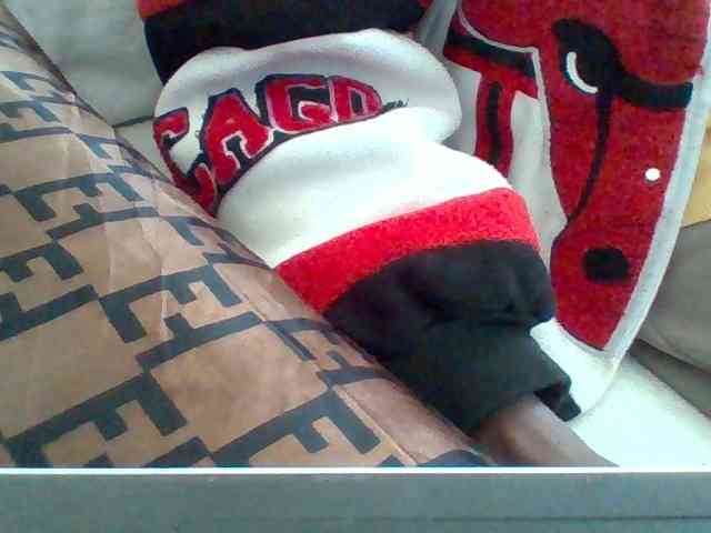 Dollie webcam