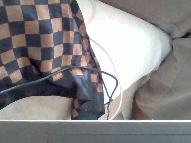 Dollie webcam