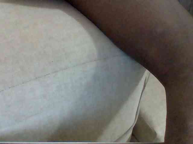 Dollie webcam
