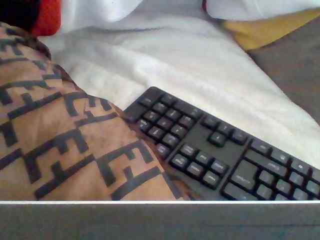 Dollie webcam