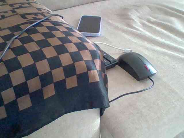 Dollie webcam