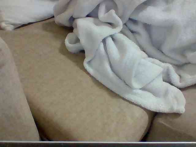 Dollie webcam