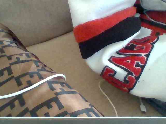Dollie webcam