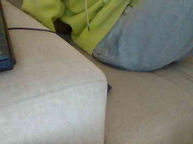 Dollie webcam