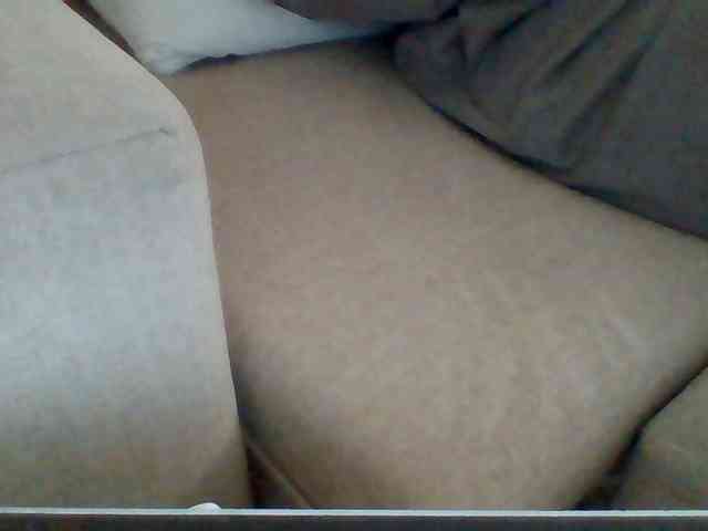 Dollie webcam