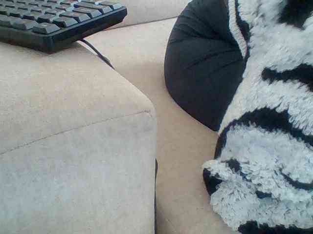 Dollie webcam