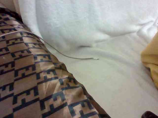 Dollie webcam