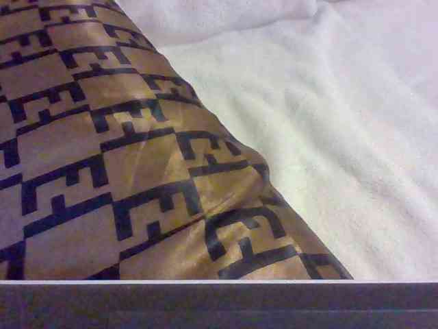 Dollie webcam