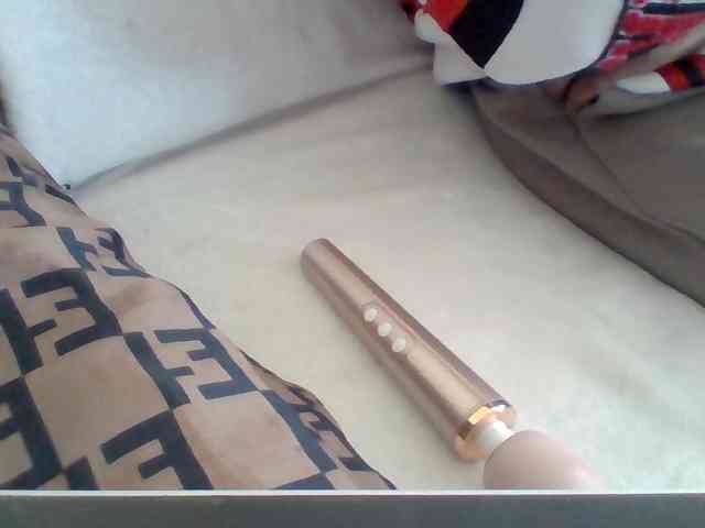 Dollie webcam