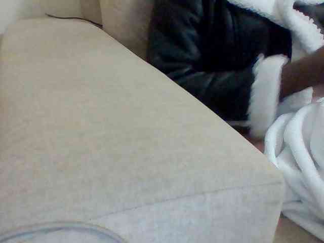 Dollie webcam