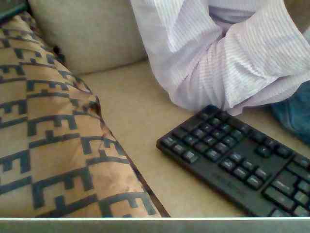 Dollie webcam