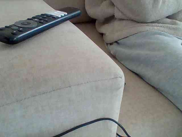 Dollie webcam