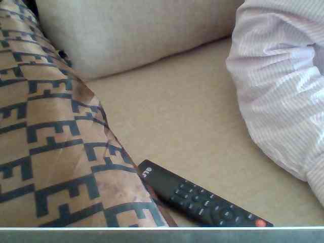 Dollie webcam