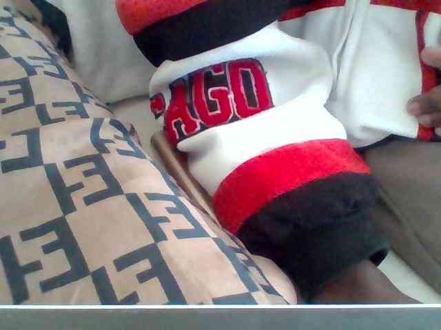 Dollie webcam