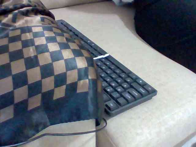 Dollie webcam