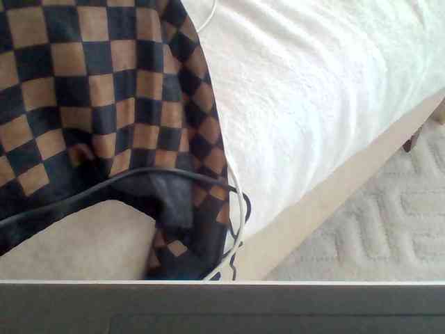 Dollie webcam