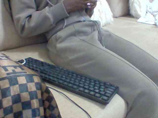 Dollie webcam