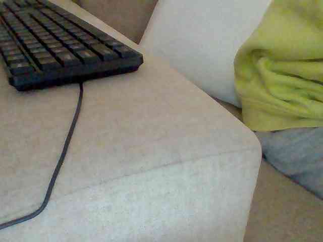 Dollie webcam