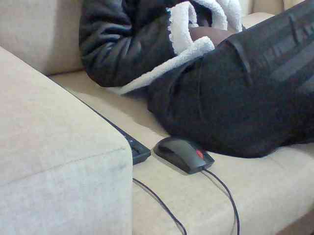 Dollie webcam