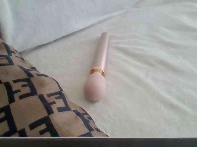 Dollie webcam