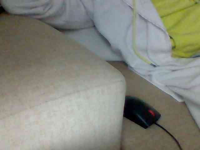 Dollie webcam