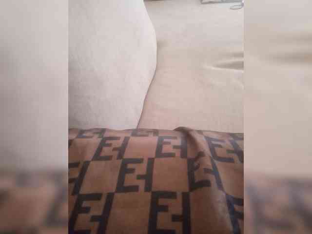 Dollie webcam