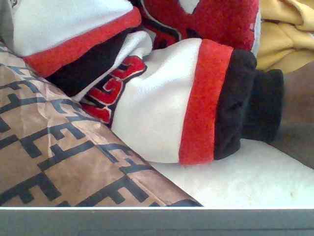 Dollie webcam