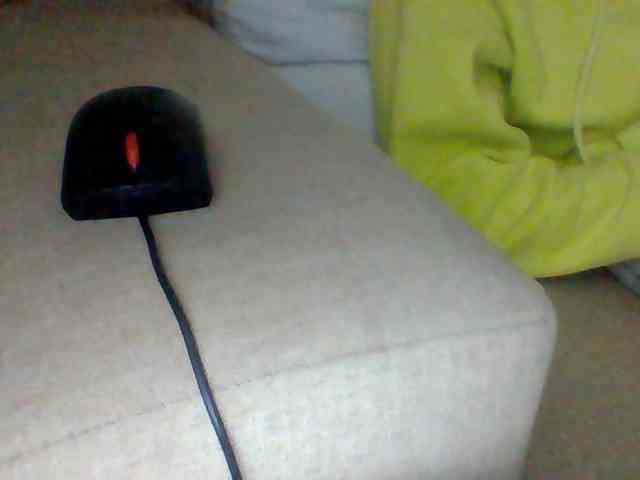 Dollie webcam