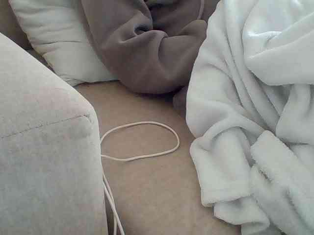 Dollie webcam