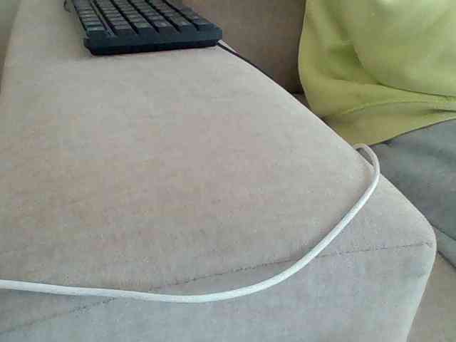 Dollie webcam