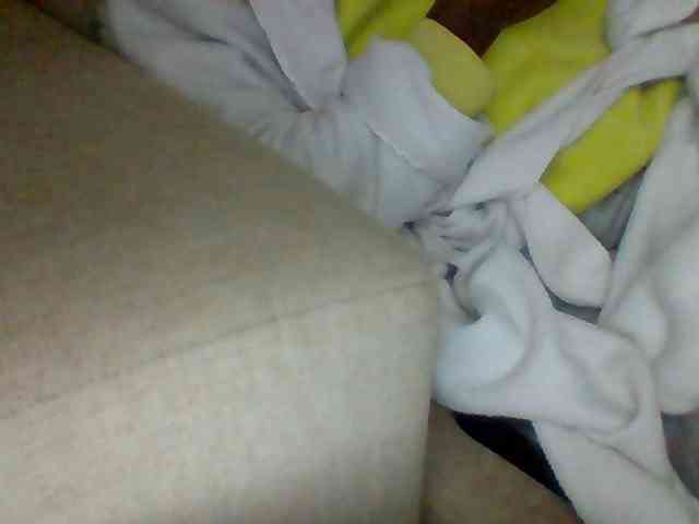 Dollie webcam