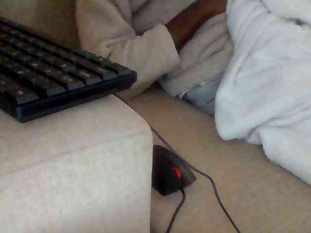 Dollie webcam