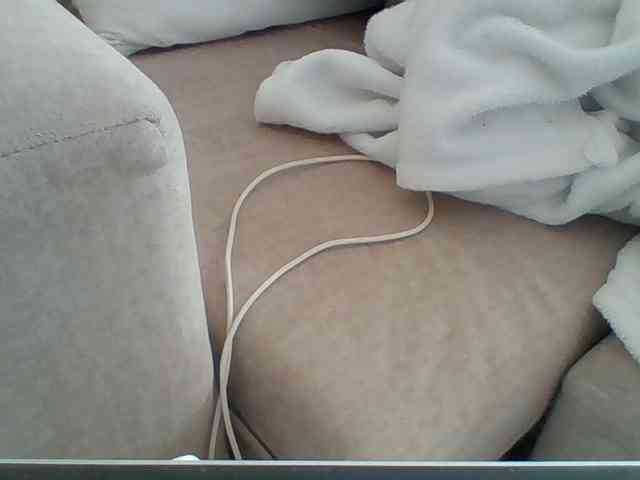 Dollie webcam