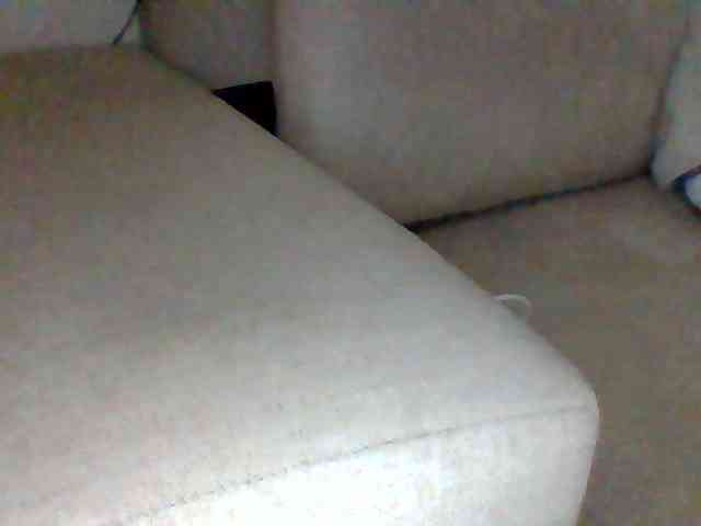 Dollie webcam