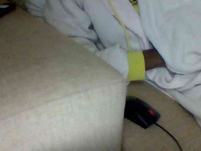 Dollie webcam