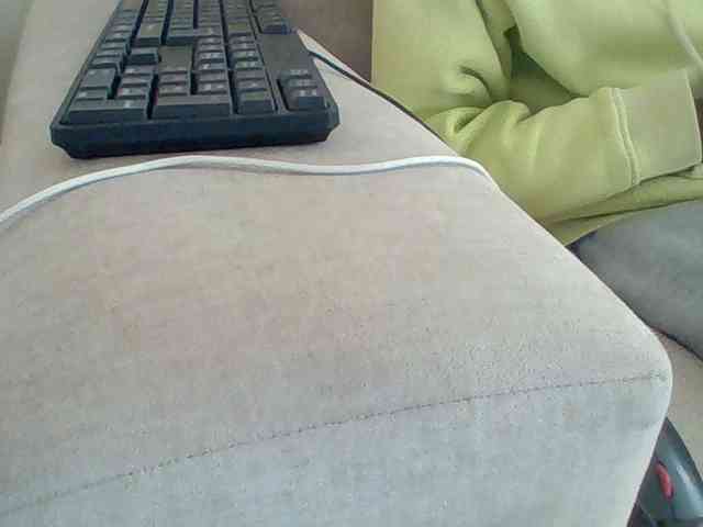 Dollie webcam