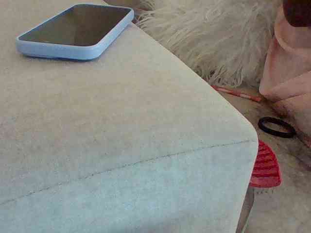 Dollie webcam