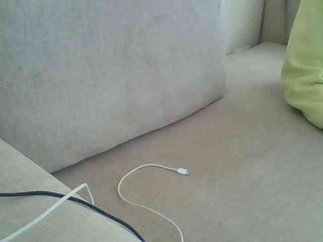 Dollie webcam