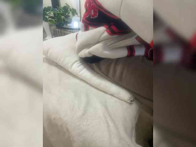 Dollie webcam