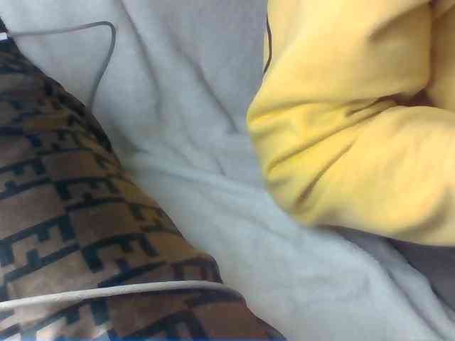 Dollie webcam