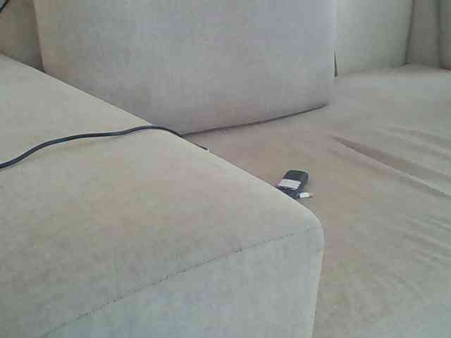 Dollie webcam