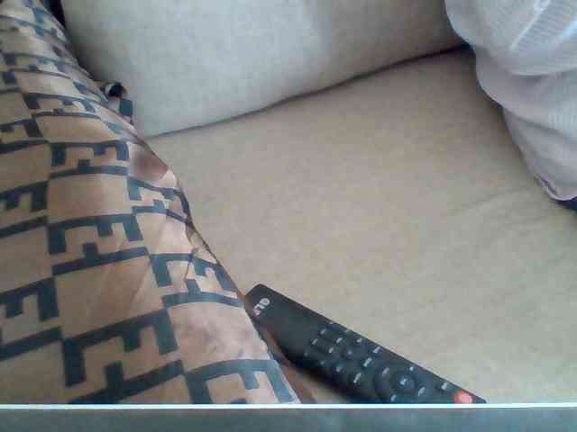 Dollie webcam