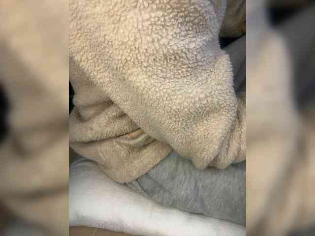Dollie webcam