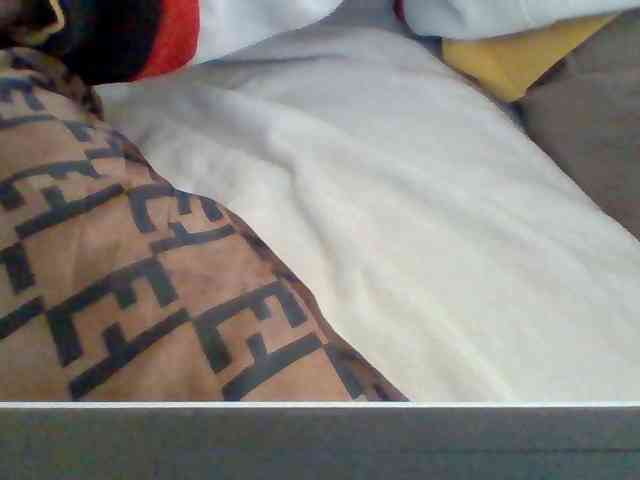 Dollie webcam
