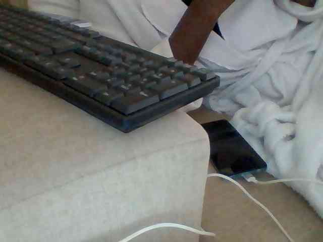 Dollie webcam